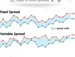 Understanding Forex Trading Spreads