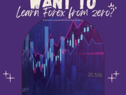 Want to Learn Forex from Zero? This is the Starting Line