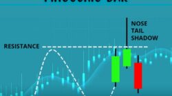 Mengenal Strategi Trading dengan Pinocchio Bar