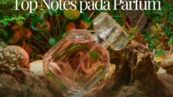 Mengidentifikasi Top Notes dalam Parfum: Panduan Sederhana untuk Pemula