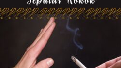 Mitos dan Fakta Seputar Rokok: Membedah Kebenaran di Balik Asap